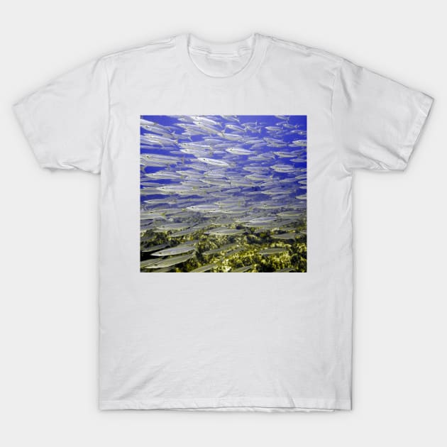 Silver Fish Wall T-Shirt by Scubagirlamy